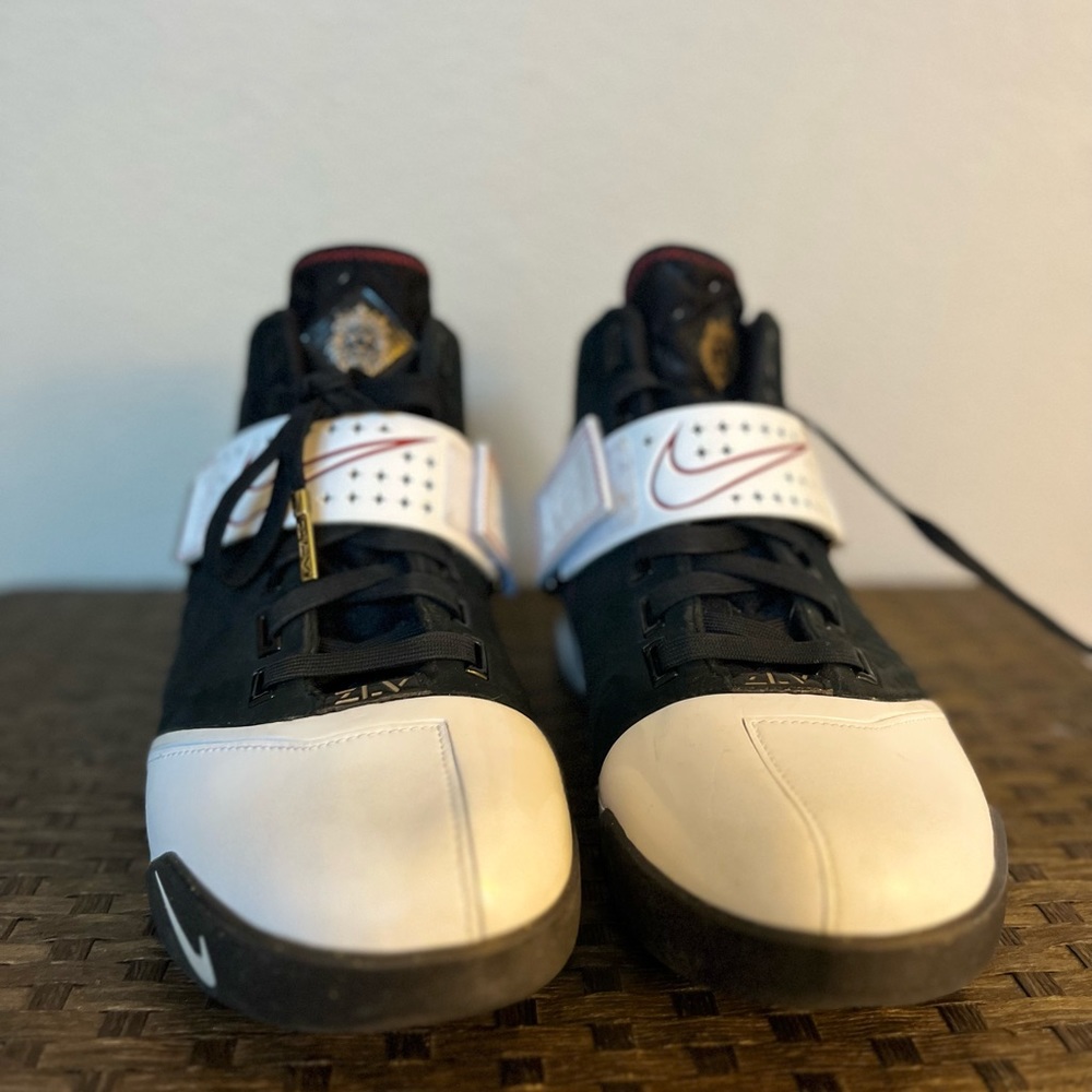 Nike Zoom Lebron V